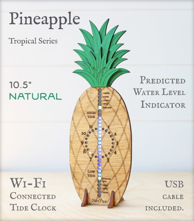 Pineapple 10.5"