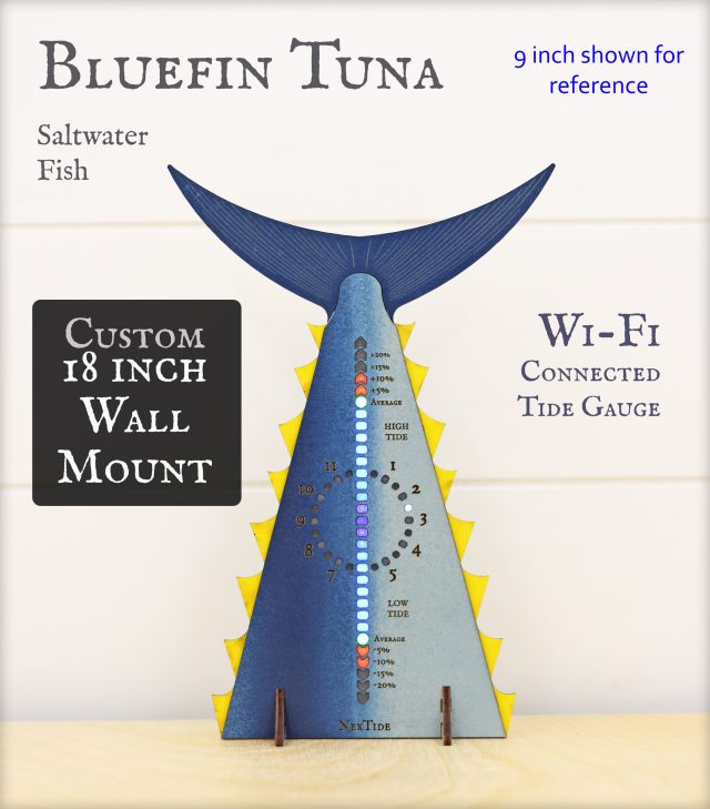 Bluefin Tuna Tail Wall Mount