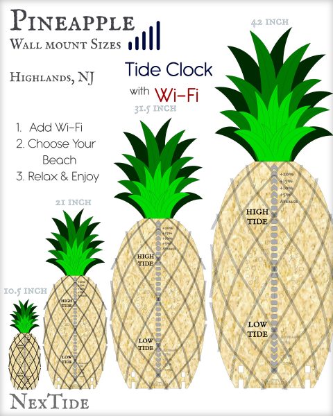 Wall Mount Pineapple